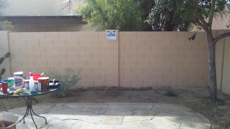 Before and After on the Desert Garden Wall