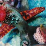 Detail from Aquarium Mural with painted background with an eel,  tube worms and various coral forms all of recycled materials.
©1998 Kristen Muench
photo by Debra Whalen