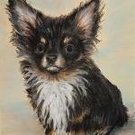 Baby List, the long-haired, much loved teacup chihuahua. Pastel, 2017.