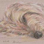 Whynot Waskiewicz, Irish Wolfhound much loved blonde and handsome boy. Pastel, 2016