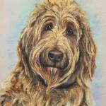 "Teddy" Walker, Colorado, 2020, pastel