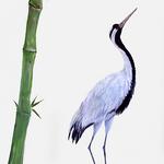 This crane is on the ground looking up at his flying partner above the crib in this newborn's room. 
©2001 Kristen Muench
photo by David A. Harvey