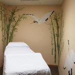 Bamboo & Cranes acupuncture room in the Advanced Chiropractic Clinic in Parker, CO
each wall 9'h x 8'w
©2010 Kristen Muench